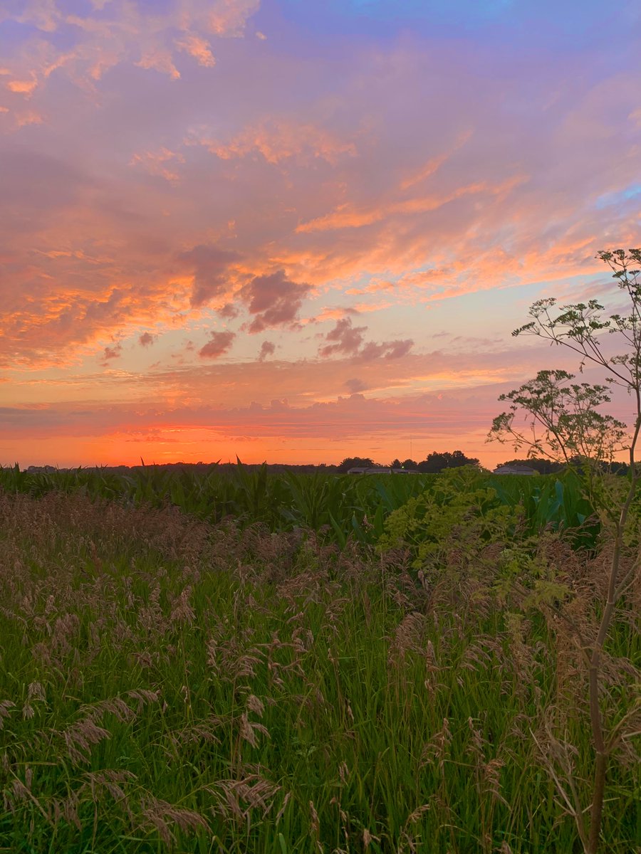 KayComp's tweet photo. Chase sunsets, always https://t.co/Q0CQXTC2oK