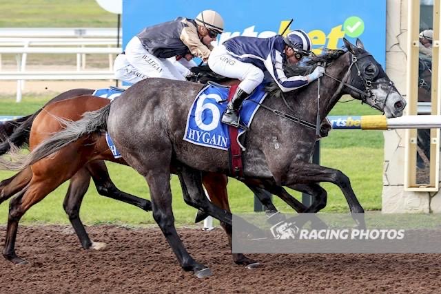 Steven king (@kingsteven1969) on Twitter photo Great result today with Top Arctic winning his maiden @PakenhamRacing. Flawless ride from <a href="/LachieJamesKing/">Lachie King</a>. Congrats to the connections <a href="/toppick/">Michelle Smith</a>. Bloodstock. Great result today with Top Arctic winning his maiden @PakenhamRacing. Flawless ride from <a href="/LachieJamesKing/">Lachie King</a>. Congrats to the connections <a href="/toppick/">Michelle Smith</a>. Bloodstock.