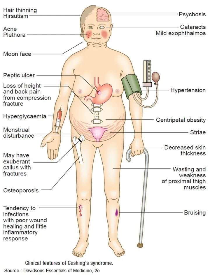 prep_course's tweet photo. ONLINE APPLICATION FORM (Click below link) 
https://t.co/KbmF5EWwMD

Please see link below of our Free Introductory Module
https://t.co/bjNoTrRHvK

Follow us on Instagram: https://t.co/RprDsfFm7I

Follow us on Facebook: https://t.co/PbWRCeCJrJ https://t.co/jXzEMIky1U https://t.co/7lLQDlfZwc