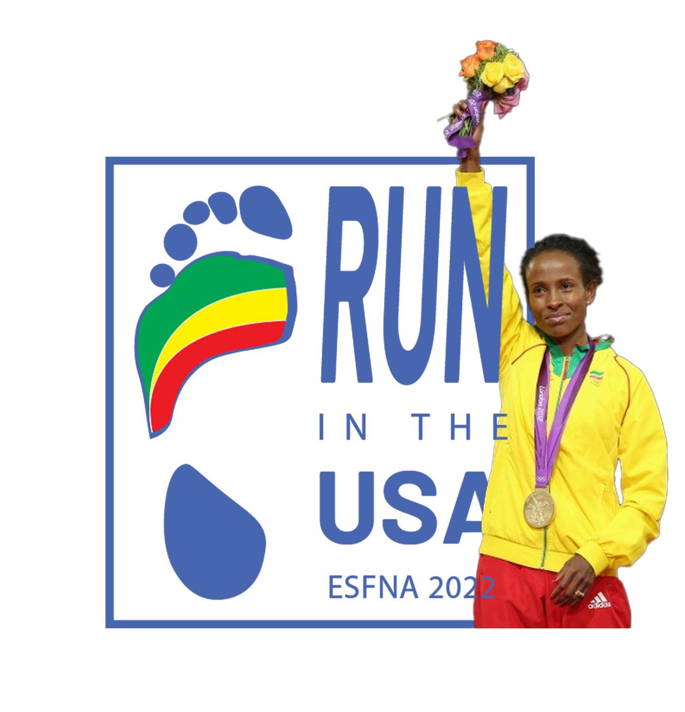 Ethiopian Football on Twitter "The 39th annual ESFNA tournament starts
