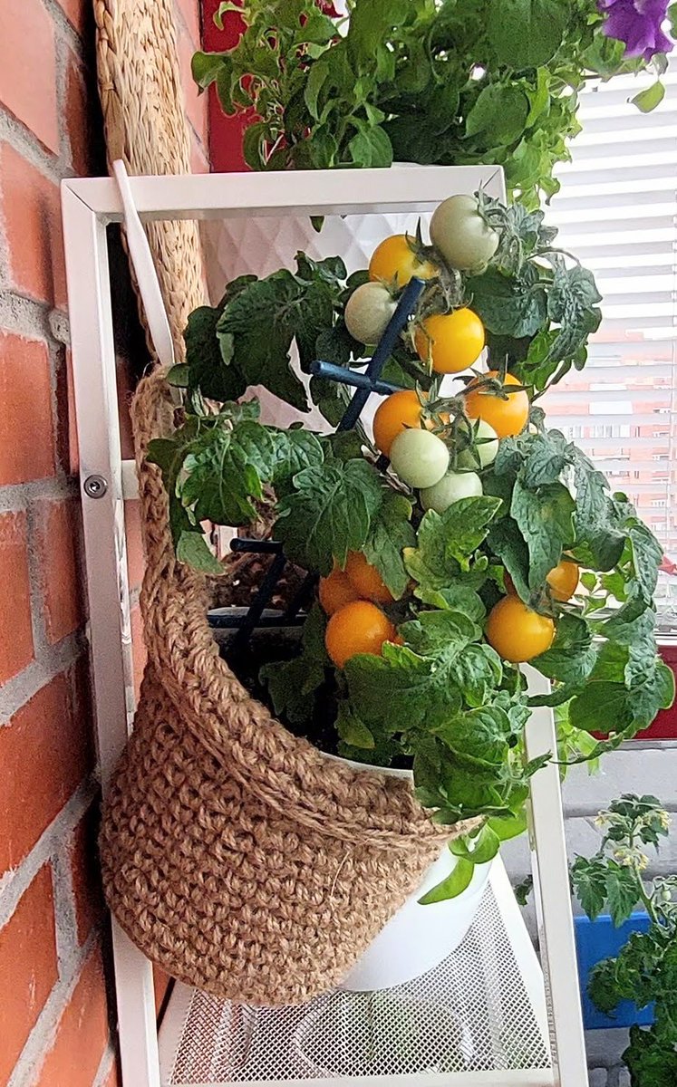 Garden decoration ideas Minimalist plant hanger Storage and organization 💚

#plantlife 
#gardenlife 
#homedecor  
#cottagecoredecor
#kitchendecorideas
#kitchendecor 
#cottagecore 
#planter
#minimalist