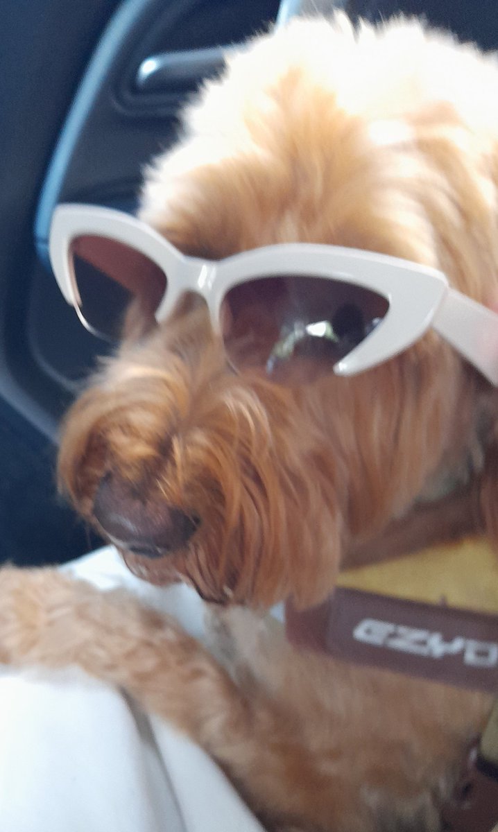 MiloNames's tweet image. I was right wes going on road trip to the beach