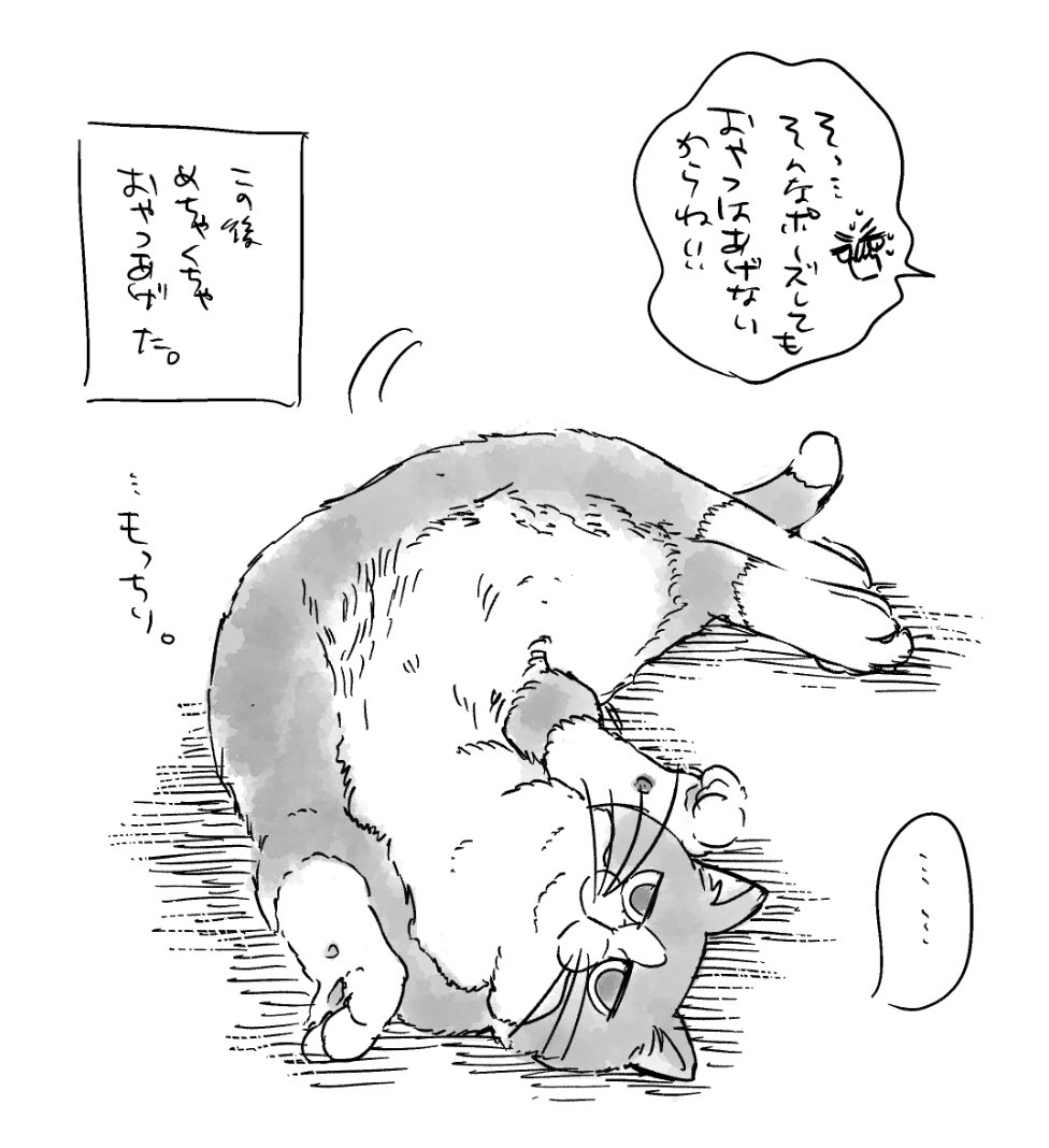 リクエストいただいたもちもちのり弁です🐱リクエストありがとうございました❤️ 