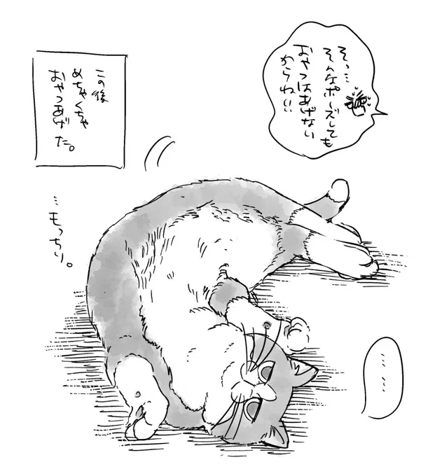 リクエストいただいたもちもちのり弁です🐱リクエストありがとうございました❤️ 