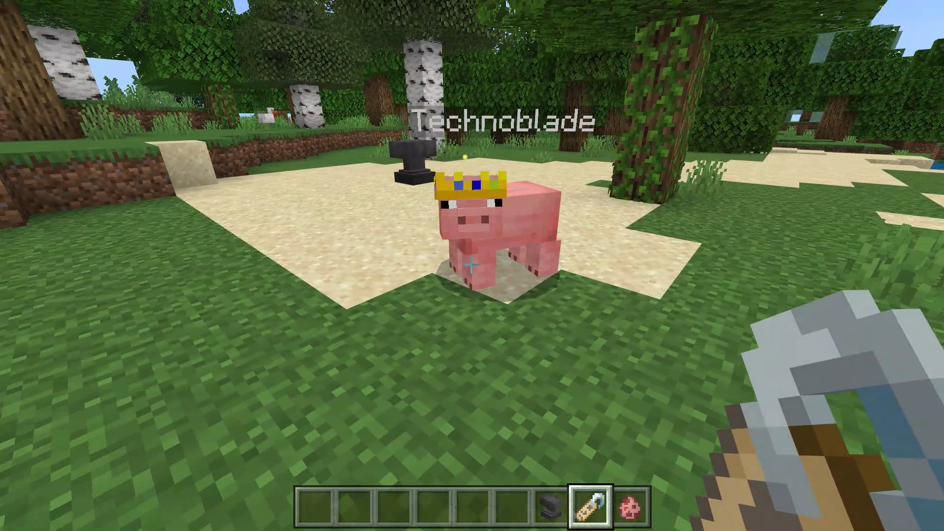 Rainvay_ZCYF on X: Technoblade Easter Egg Pig Resource Pack🐷👑🗡️ The  crown will only show when the pig is named Technoblade and has full  health.   / X