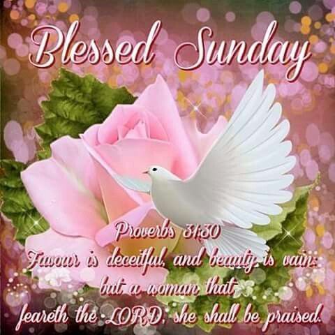 RiskyPeter's tweet photo. @loumay48 https://t.co/MSYA2I4Diq