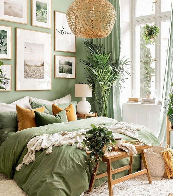 MEADOW INTERIOR tweet media