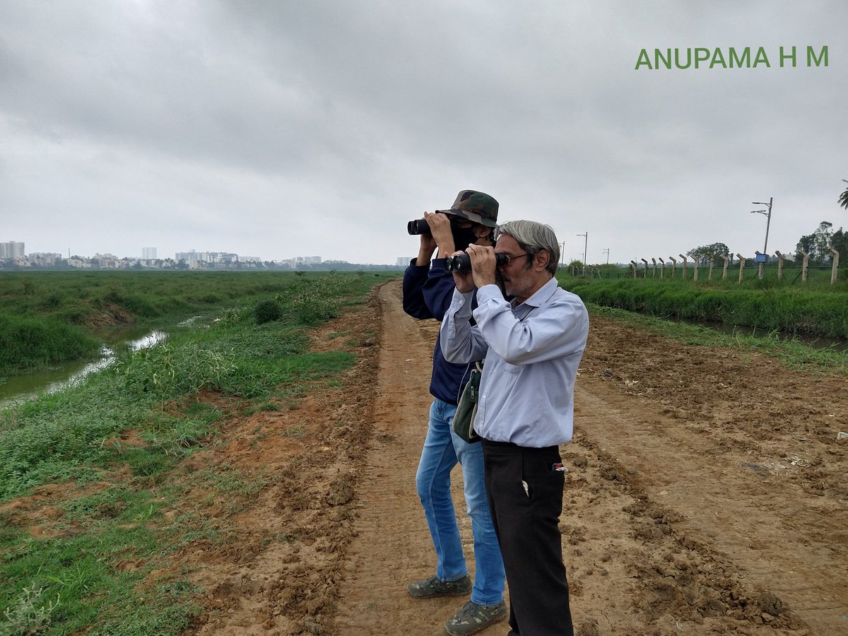 @earlybirdncf @AikyamCommunity @BoskyKhanna @sustainBLR @EcosystemLake @NammaWhitefield @Coalition4Water @NoTreesNoWater @Bhoomi_College @TrustBangalore @esgindia1 2/n  Listen to this podcast to learn more on ecology and Birds.  

Bird Identification and Ecology with M. B. Krishna 

birdpodcast.com/2021/04/09/bir… 

 #Birds #NatureInTheCity