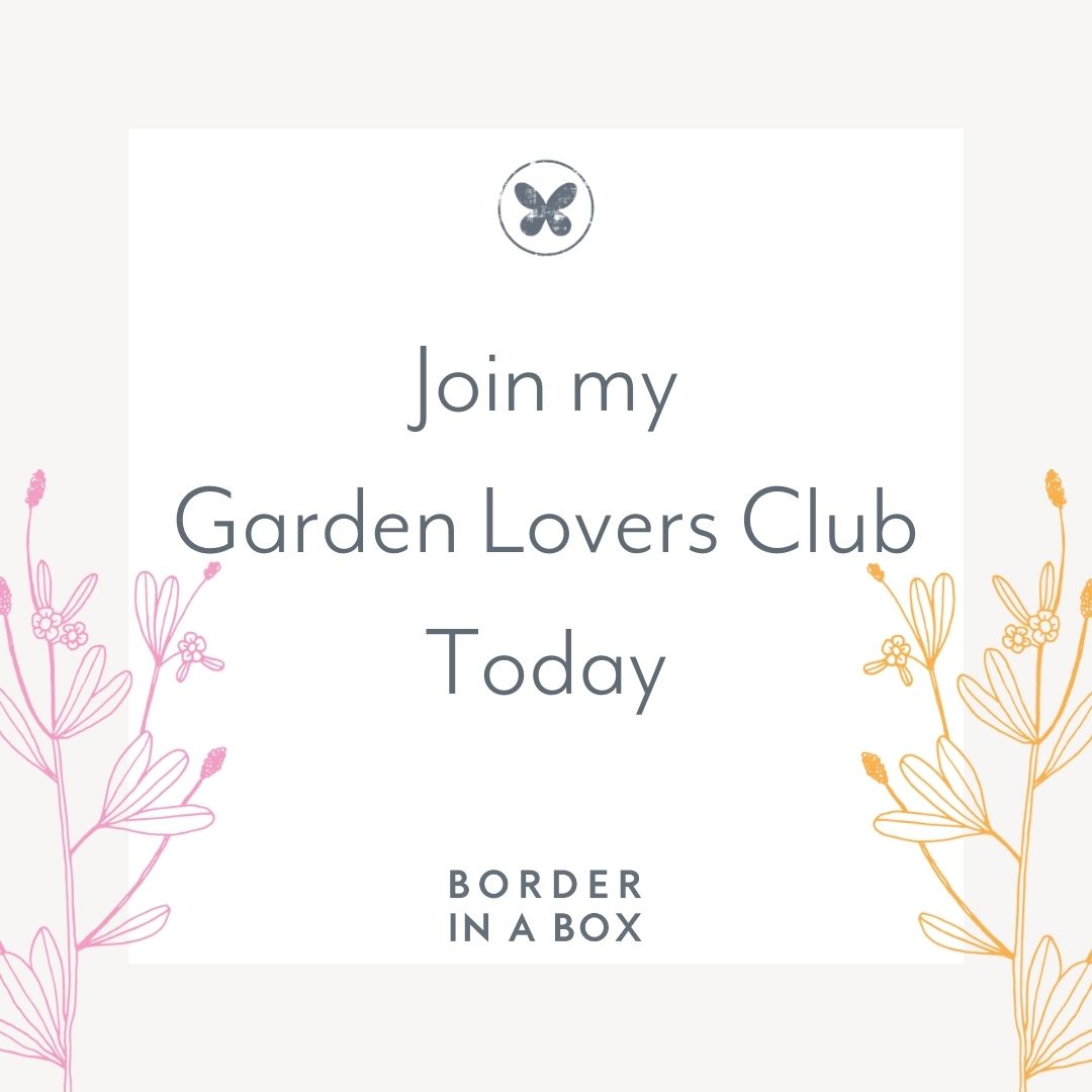 Come and join my Garden Lovers Club - ideal for newbie gardeners that would like some support in creating their garden - contains weekly ideas. borderinabox.com/join-garden-lo…