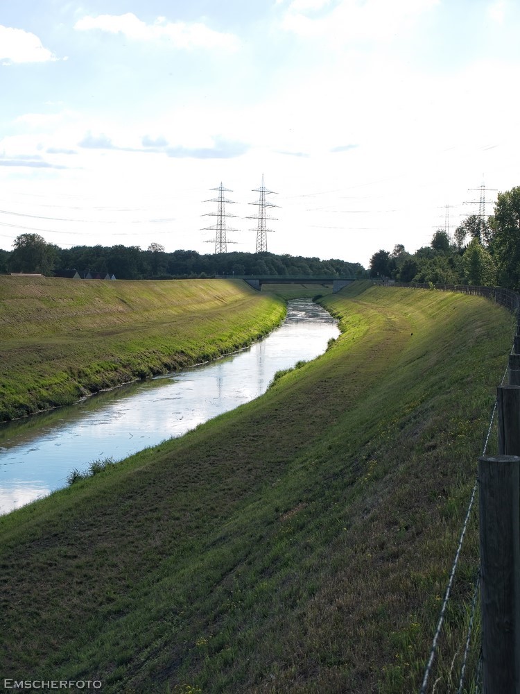 thisdigitaldark's tweet image. Gestern dann von der #Lippe an die #Emscher, durchs @EGLVde - Land!
#Haltern_am_See
#Ruhrgebiet
#Fotografie