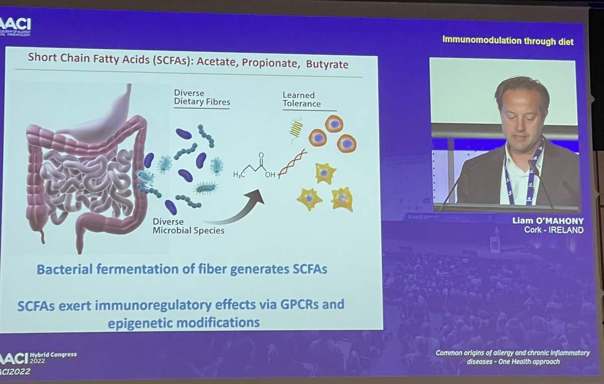 Priya Bansal, MD tweet media