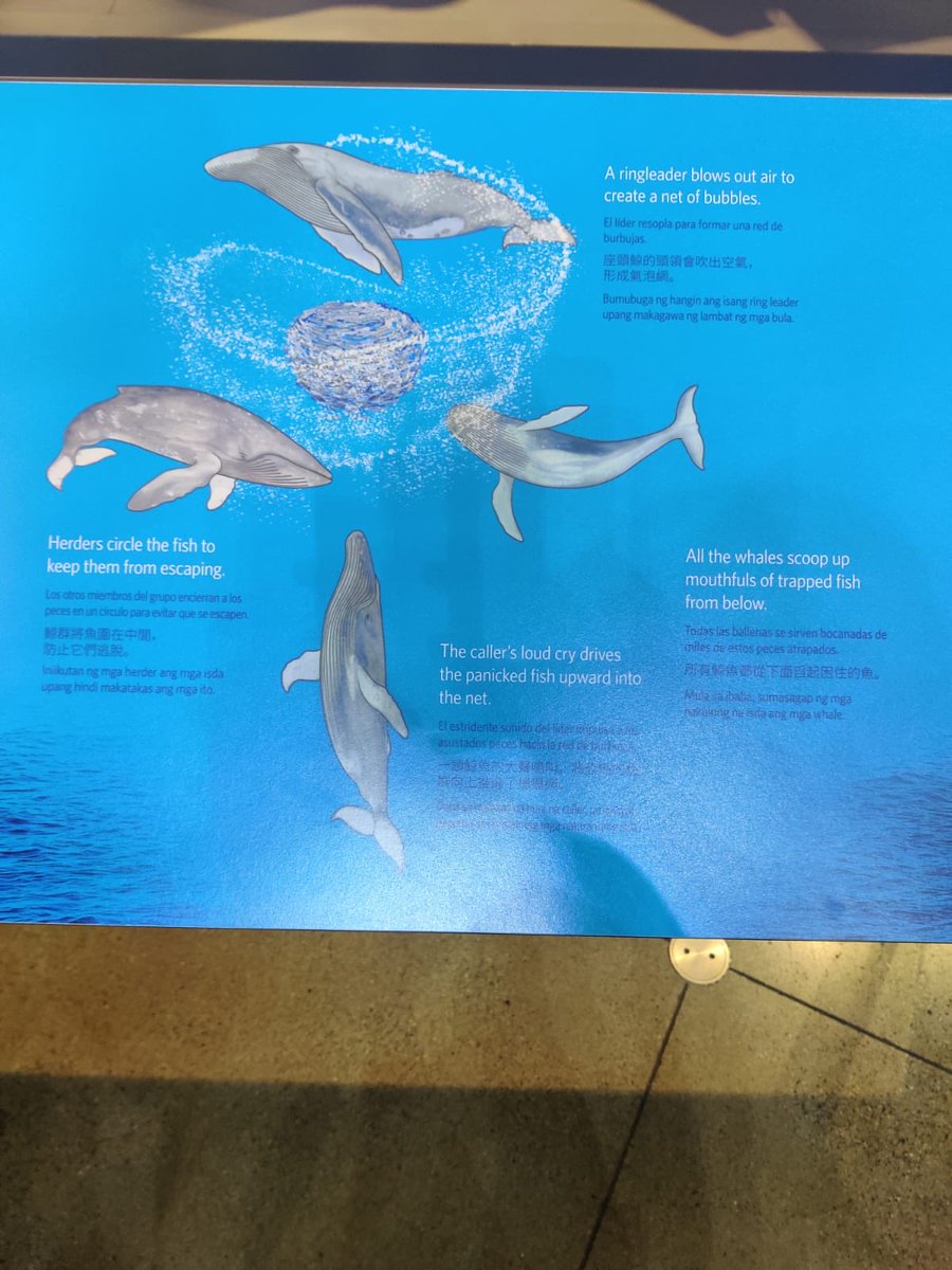 Timothy Leighton tweet media