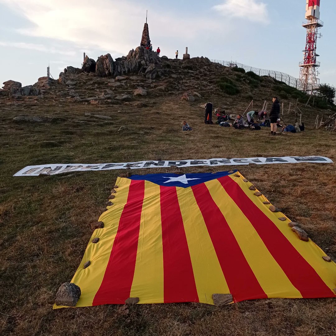 ANC Quart 🎗 tweet media