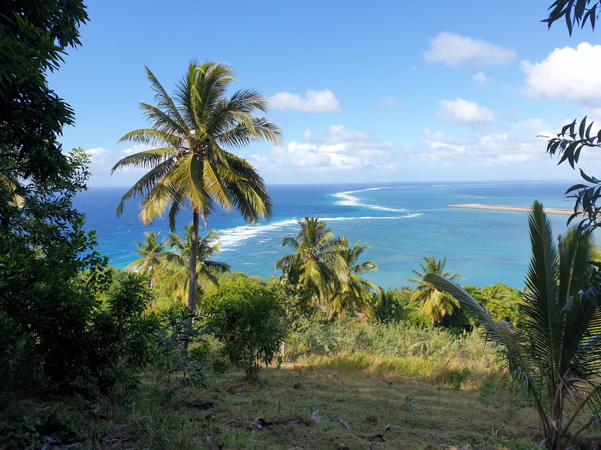 Matthieu Guyot tweet media