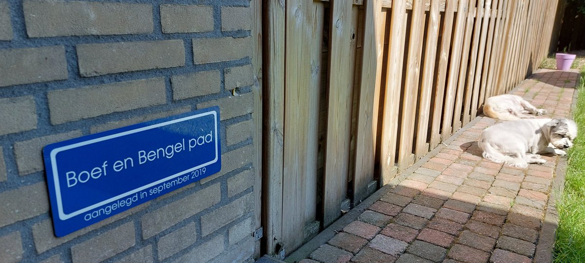 Boef_Bengel's tweet photo. Op pad. https://t.co/SdZPJXdZXh