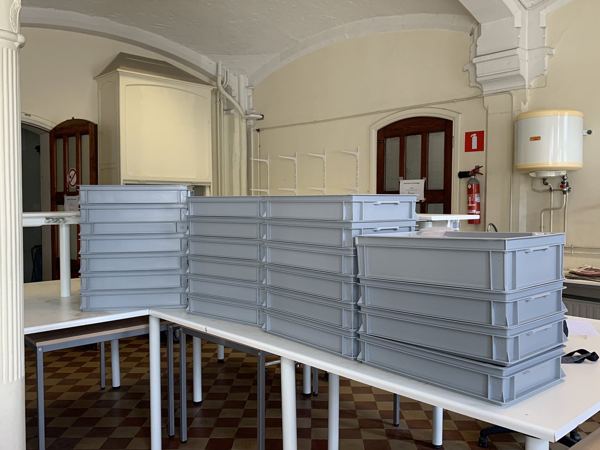 Ramón Dìaz tweet media