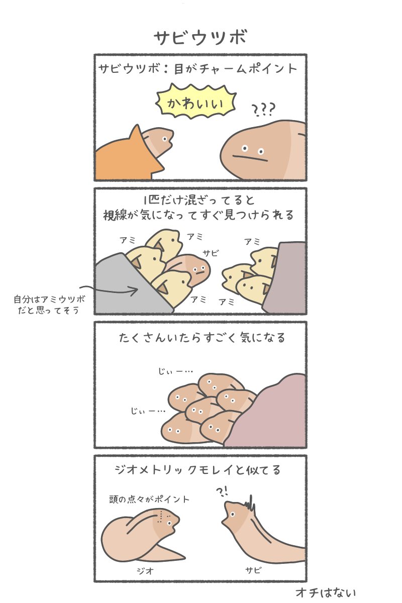 サビウツボ 