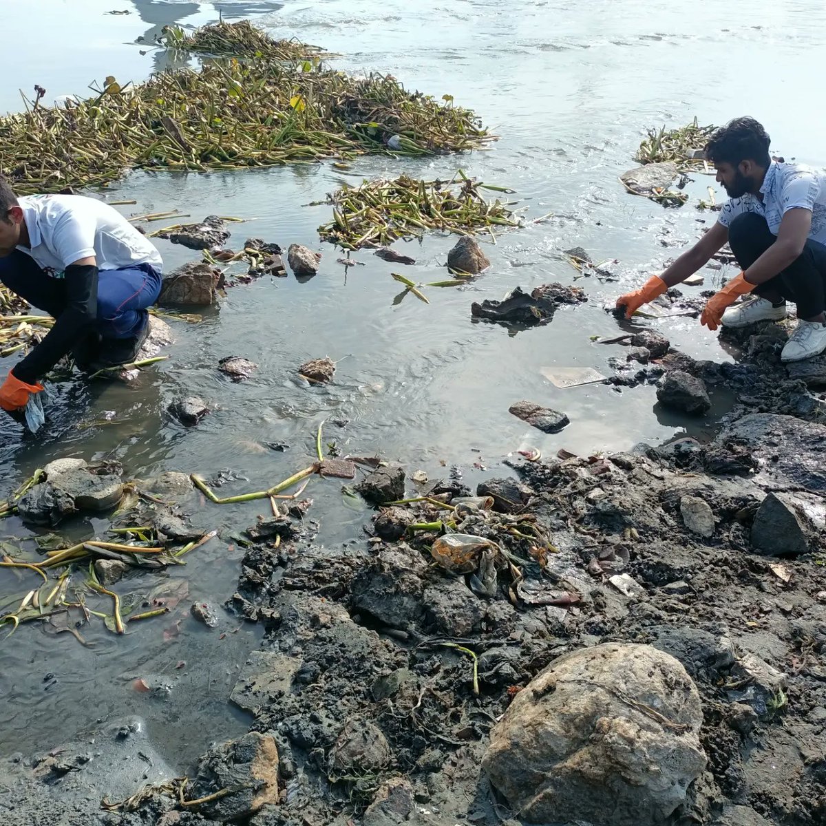 Lahar Foundation (@laharfoundation) on Twitter photo Warriors of Lahar Foundation cleaning at Kalindi Kunj Ghat today
<a href="/PMOIndia/">PMO India</a> <a href="/CMODelhi/">CMO Delhi</a> <a href="/cleanganganmcg/">Namami Gange</a> <a href="/DelhiJalBoard/">Delhi Jal Board</a> <a href="/MoJSDoWRRDGR/">Not Ministry of Jalshakti Anymore</a> <a href="/asokji/">Asok Kumar</a> <a href="/RajivRanjanMis5/">Rajiv Ranjan Mishra</a> <a href="/AdityaDubey2003/">Aditya Dubey</a> <a href="/vrikshit/">Vrikshit Foundation ®</a> <a href="/RandeepHooda/">Randeep Hooda</a>
#saveEarth #rivers #naturelovers #volunteers #enviornment #CleaningUp Warriors of Lahar Foundation cleaning at Kalindi Kunj Ghat today
<a href="/PMOIndia/">PMO India</a> <a href="/CMODelhi/">CMO Delhi</a> <a href="/cleanganganmcg/">Namami Gange</a> <a href="/DelhiJalBoard/">Delhi Jal Board</a> <a href="/MoJSDoWRRDGR/">Not Ministry of Jalshakti Anymore</a> <a href="/asokji/">Asok Kumar</a> <a href="/RajivRanjanMis5/">Rajiv Ranjan Mishra</a> <a href="/AdityaDubey2003/">Aditya Dubey</a> <a href="/vrikshit/">Vrikshit Foundation ®</a> <a href="/RandeepHooda/">Randeep Hooda</a>
#saveEarth #rivers #naturelovers #volunteers #enviornment #CleaningUp