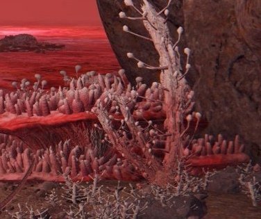 _hungrYoshi's tweet photo. @Ziostorm1 Omg it was also my theorie!!!  1.: A normal mushroom is shining like the erdtree.(Coincidence? I dont think so!) 2.: Scarled rot is obviously a parasite/fungus. 1/2 https://t.co/MLZ4HNlY1c