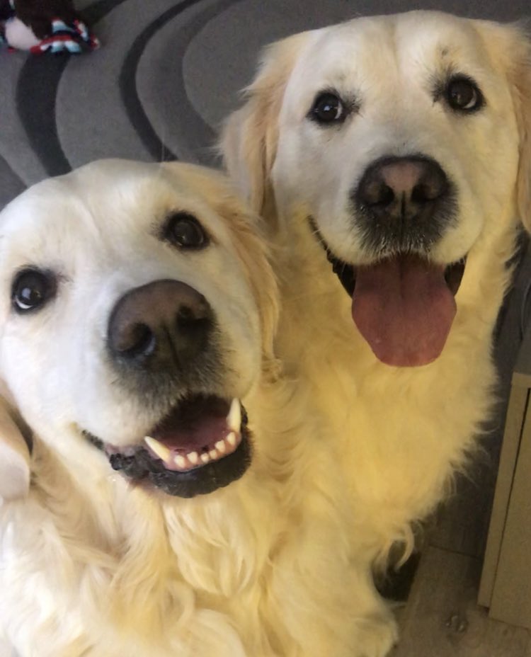 Don’t worry be happy now 🎶😃❤️