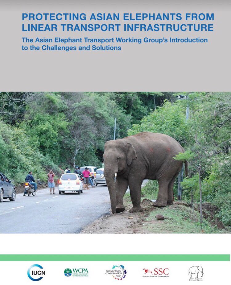 IUCN_AsESG's tweet photo. A priority in the #KathmanduDeclaration for #AsianElephantConservation is “Promote the development of national guidelines on wildlife friendly linear infrastructure, including elephant..." based on our #AsianElephant Transport Working Group document: https://t.co/2TBrOkReQr https://t.co/4MFkdZYSGi