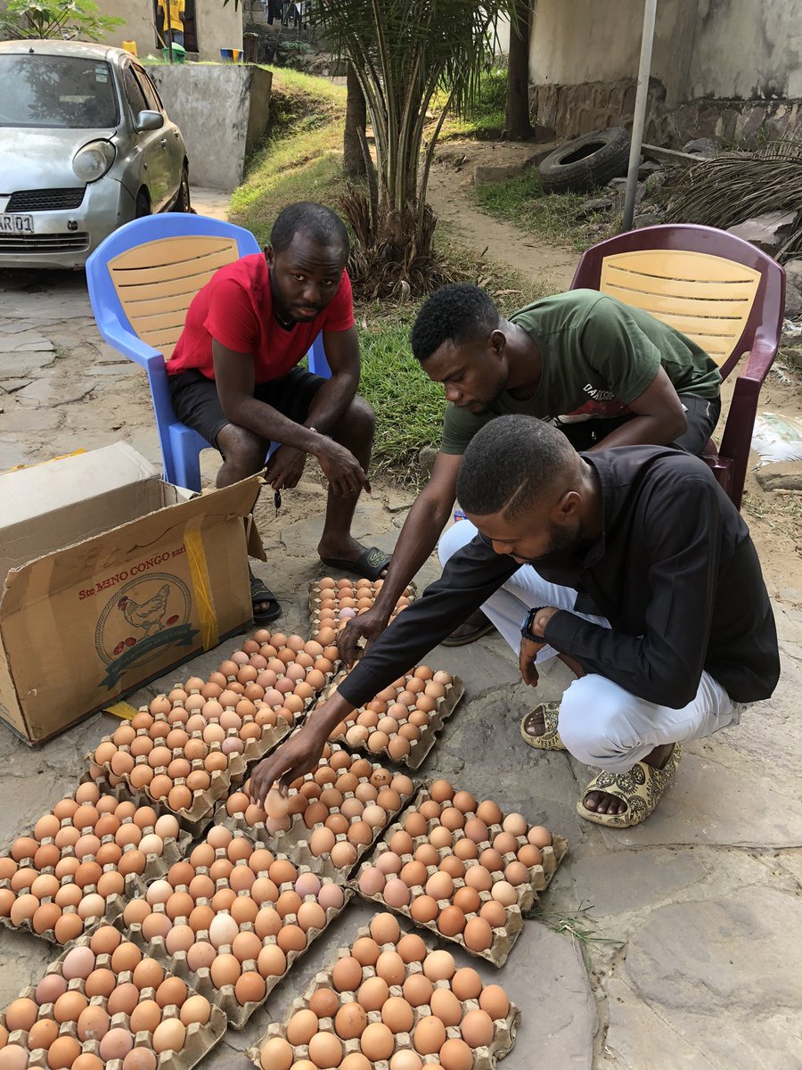 Elie Lomboto🇨🇩🐓 tweet media