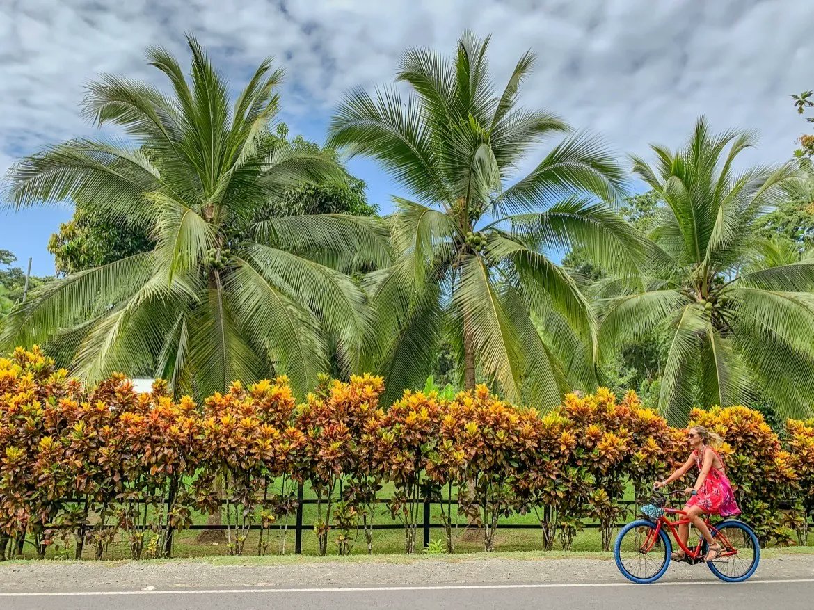 Globe_Guide's tweet photo. The beach town of Puerto Viejo on the Caribbean coast is one of the best spots to experience Costa Rica adventures. Here’s why: https://t.co/FLFmBBt7lu 

#Travel | #PuraVida | @GreenSpotTravel https://t.co/6Vi0vZkuEb
