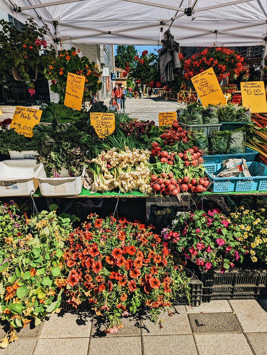 OttawaFarmMkt's tweet photo. Good morning #Ottawa! 

Our local farmers, bakers, and makers are ready to welcome you at Lansdowne today until 3pm!

#MyOttawa https://t.co/VtiqWSjAMu