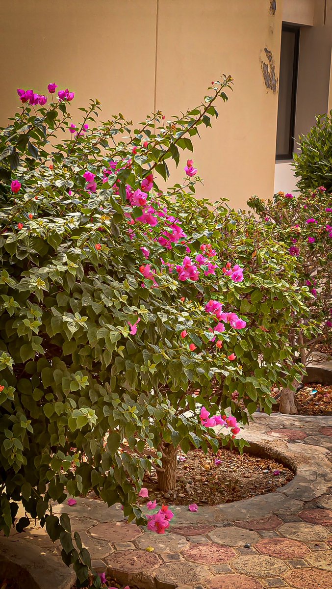 ..

"لنا الله" وبعد الله مالنا حاجة لأحد..❤️

..
 #مساء_الخيرᅠ