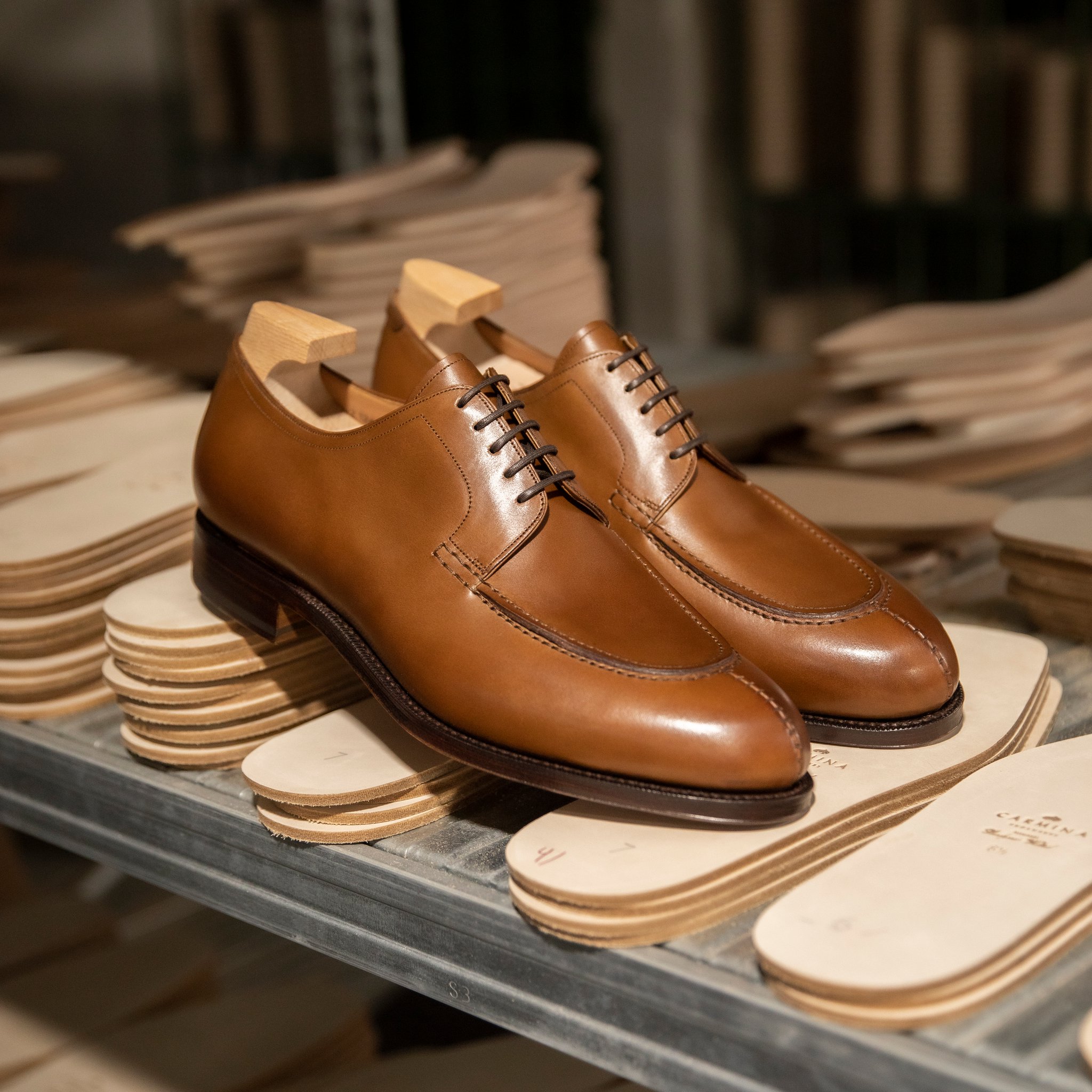 Carmina Shoemaker على X: Carmina Shoemaker على X: