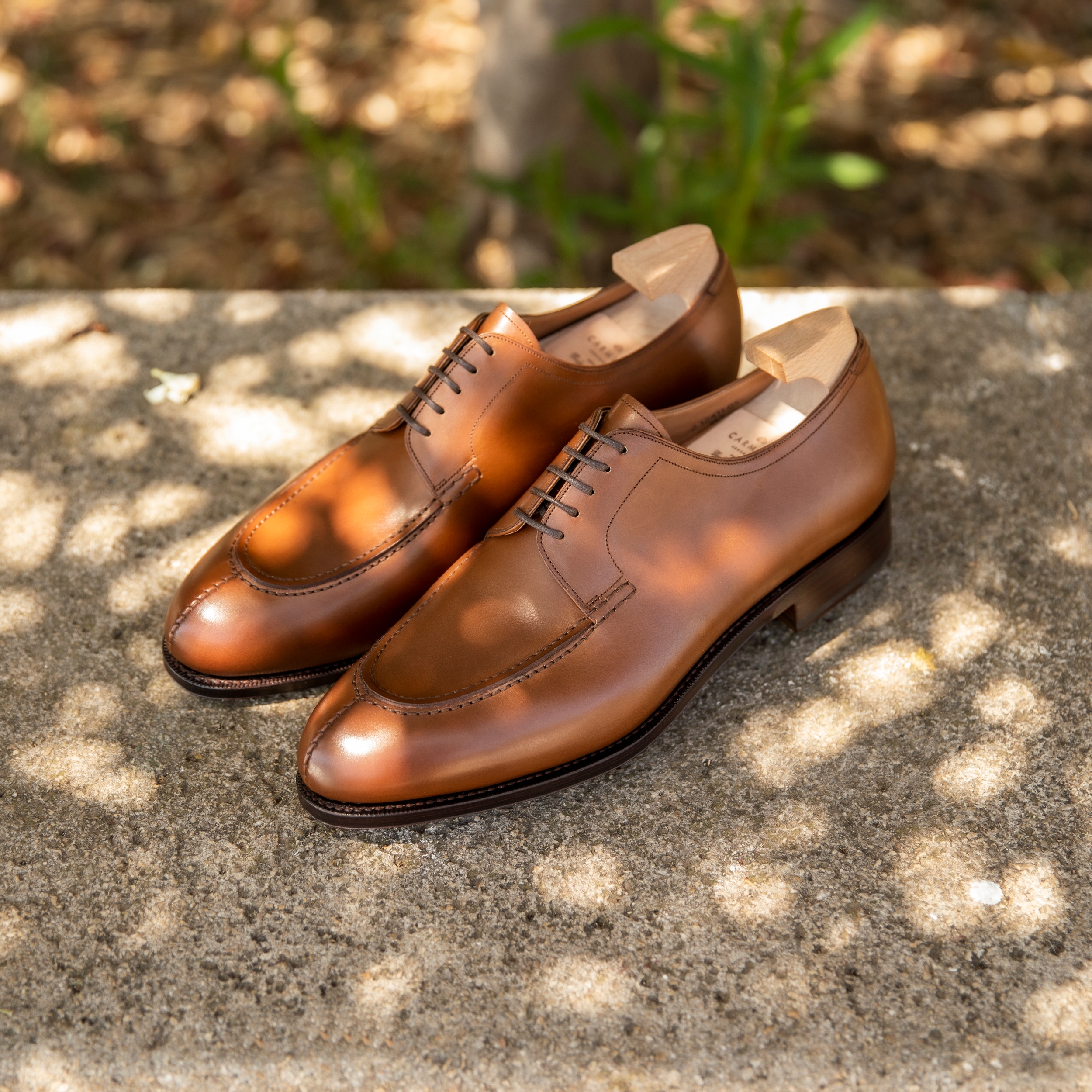 Carmina Shoemaker على X: Carmina Shoemaker على X: