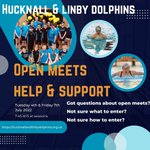 Photo by H&L Dolphins SC (@dolphins_sc)