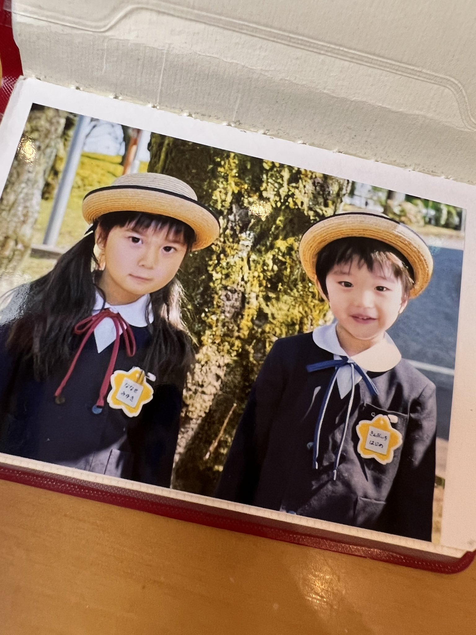 金田一少年の事件簿 DVD 全5巻 道枝駿佑 / 上白石萌歌