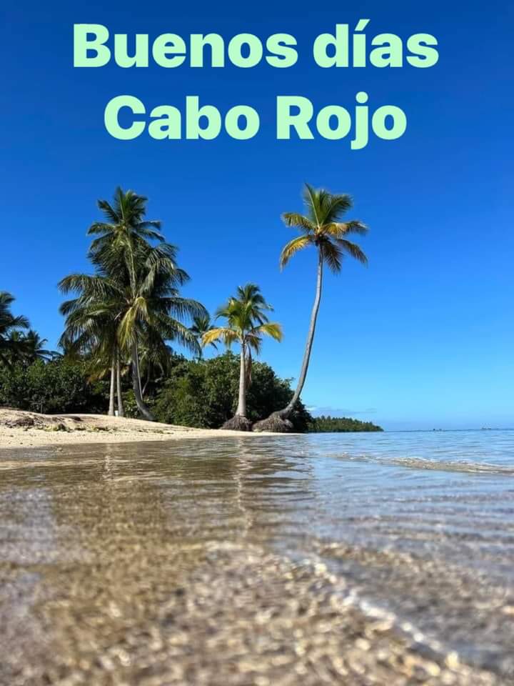 semide's tweet image. 