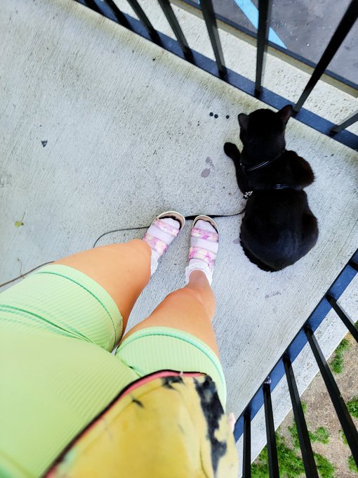 His name is Corona. He is the best boy!!!!  friends #cat #redhead #following #teen #dance #summer #new<a href="/tag/selfie"class="tags"><span>#selfie</span></a><a href="/tag/model"class="tags"><span>#model</span></a><a href="/tag/bdsm"class="tags"><span>#bdsm</span></a><a href="/tag/cute"class="tags"><span>#cute</span></a><a href="/tag/legs"class="tags"><span>#legs</span></a><a href="/tag/girl"class="tags"><span>#girl</span></a><a href="/tag/summer"class="tags"><span>#summer</span></a>