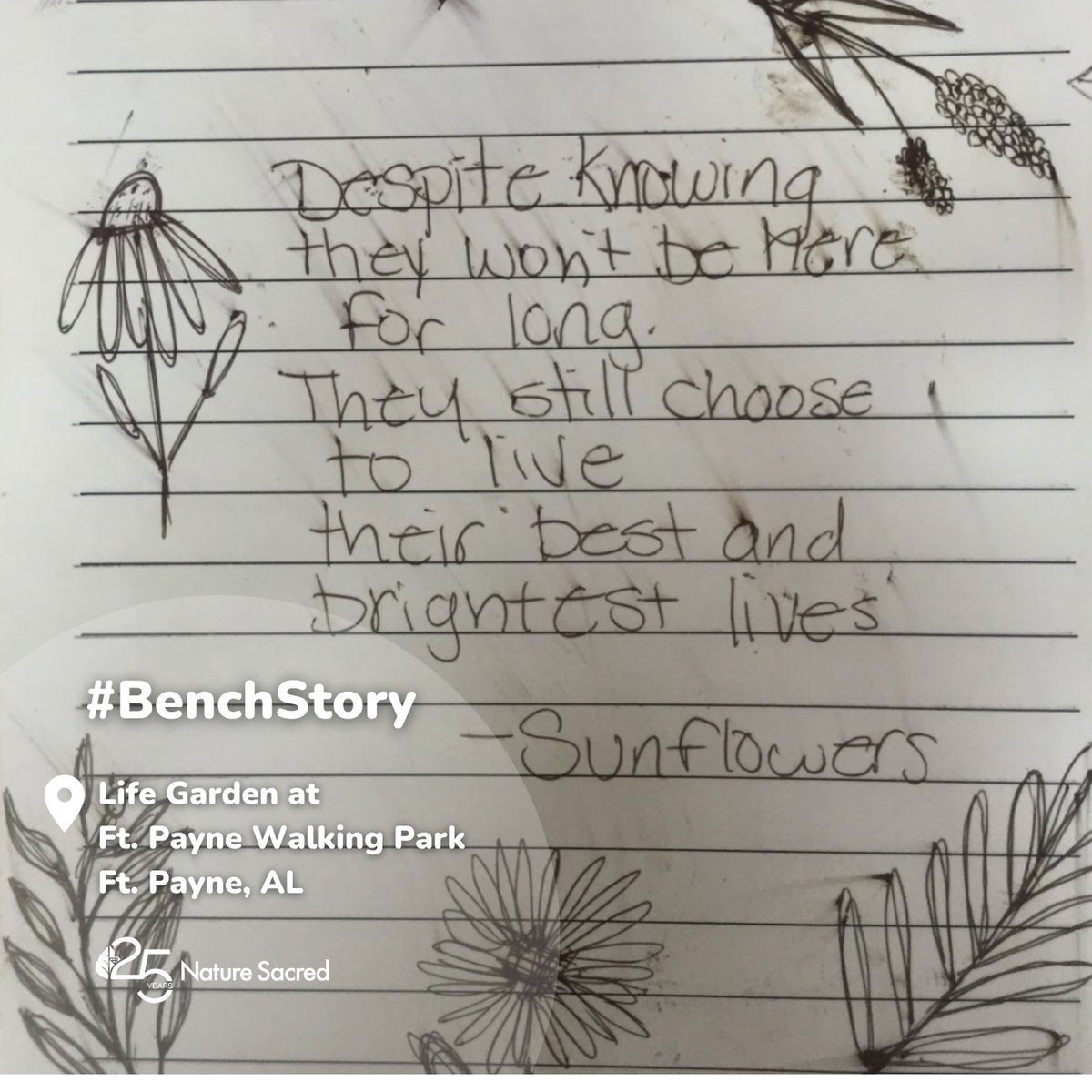 NatureSacred's tweet photo. A life lesson in two short sentences. 🔆 💚 #benchstory #SacredPlace https://t.co/k8uCg31AOI
