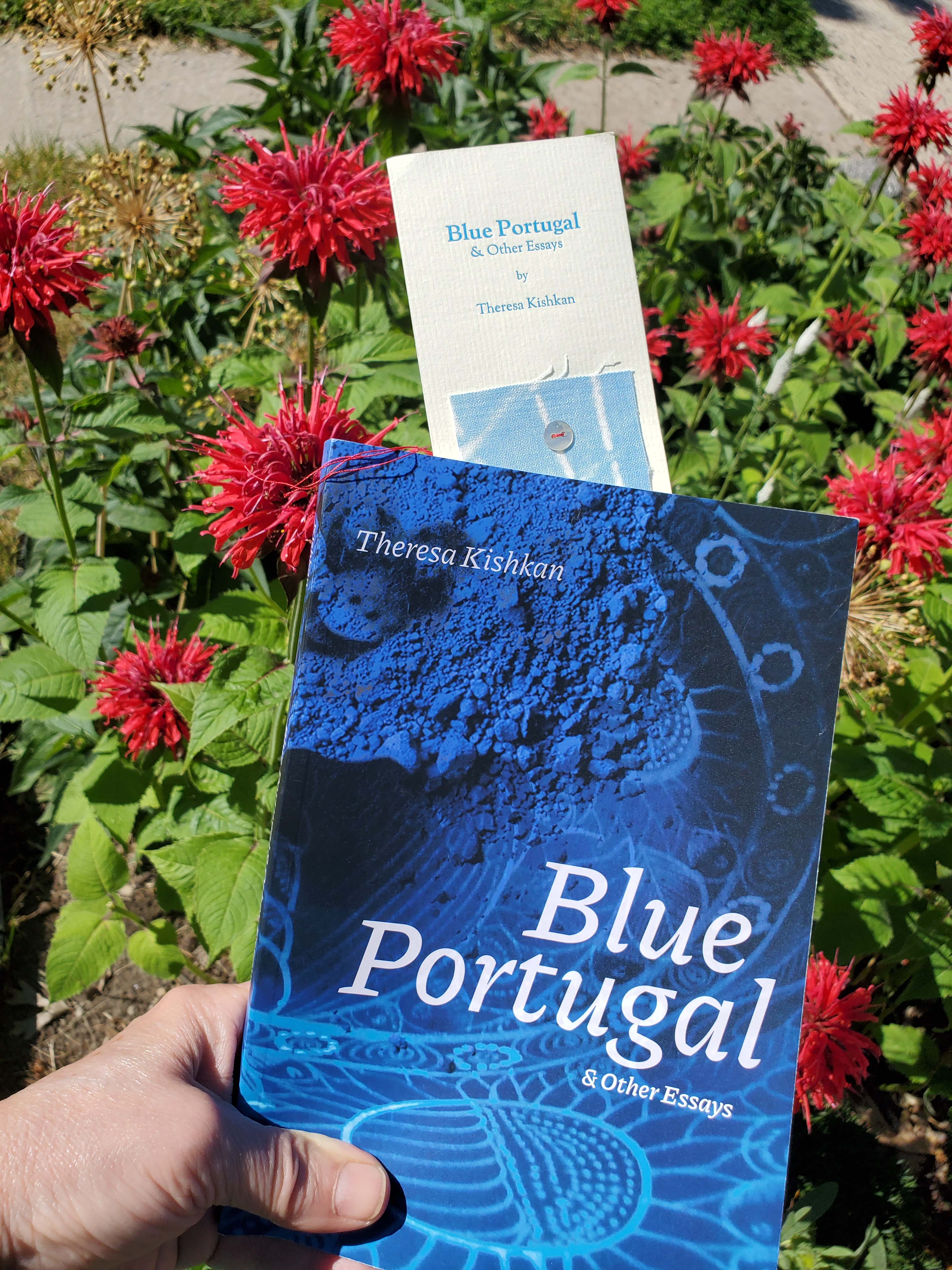 Holding up the essay collection Blue Portugal & Other Essays by Theresa Kishkan (University of Alberta Press), with its bright blue cover and blue custom bookmark with a red thread, against a backdrop of brilliant red bergamots