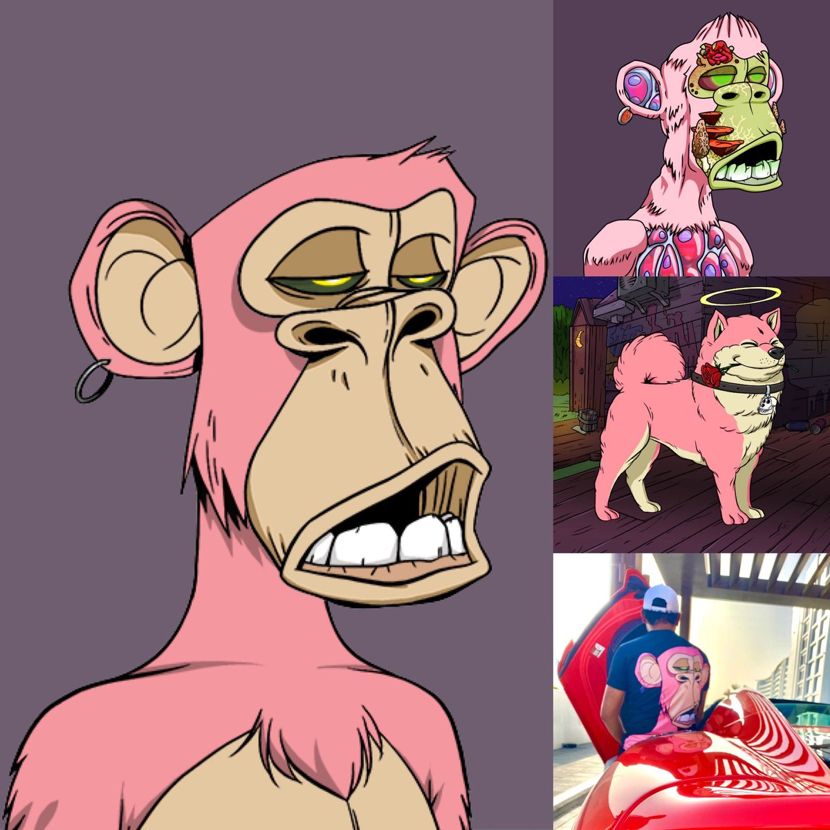 Memo 👑 tweet media