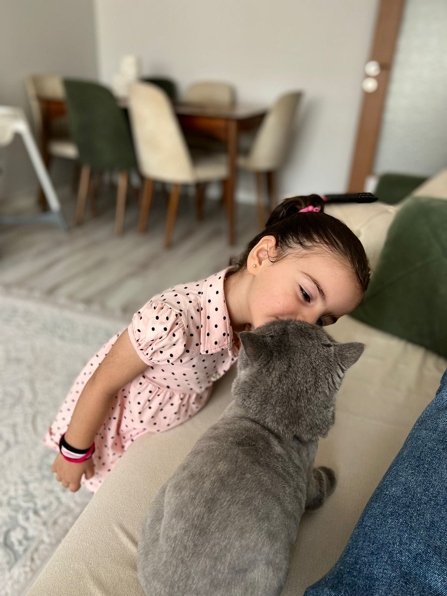 En sevdiğimiz oyun arkadaşımız 🐈