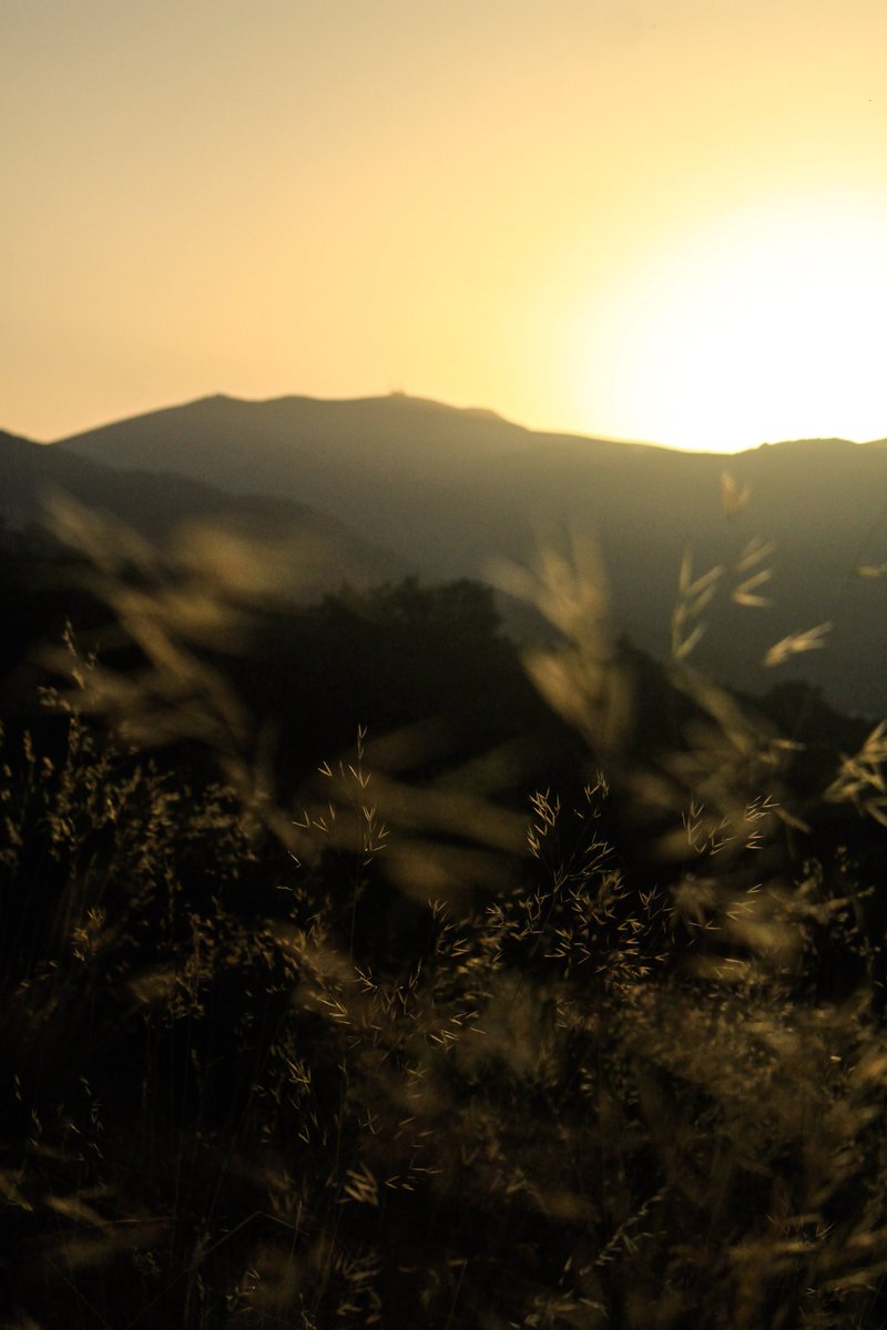 Ownphotography_'s tweet photo. 🌾🌄🎞️ https://t.co/rXcjKSPzqK