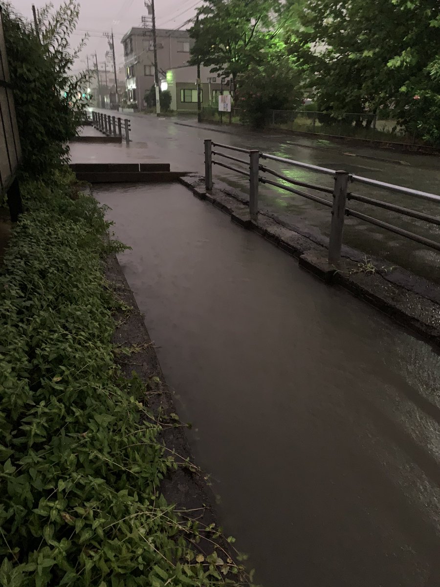 福井県のライブカメラ カムカムライブ