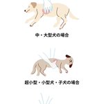 犬を飼っている人に知ってほしい!人工呼吸と心臓マッサージの仕方!