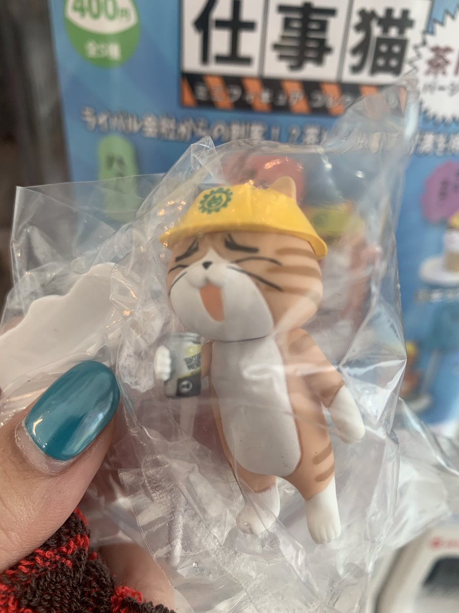 おっきい猫のヒゲを直しに行きました！みんなー！もっと大事にして！！

良いことしたら茶トラ仕事猫シークレットがすぐ出ましたーっ！！！ええやろー！
@drecap_ekoda