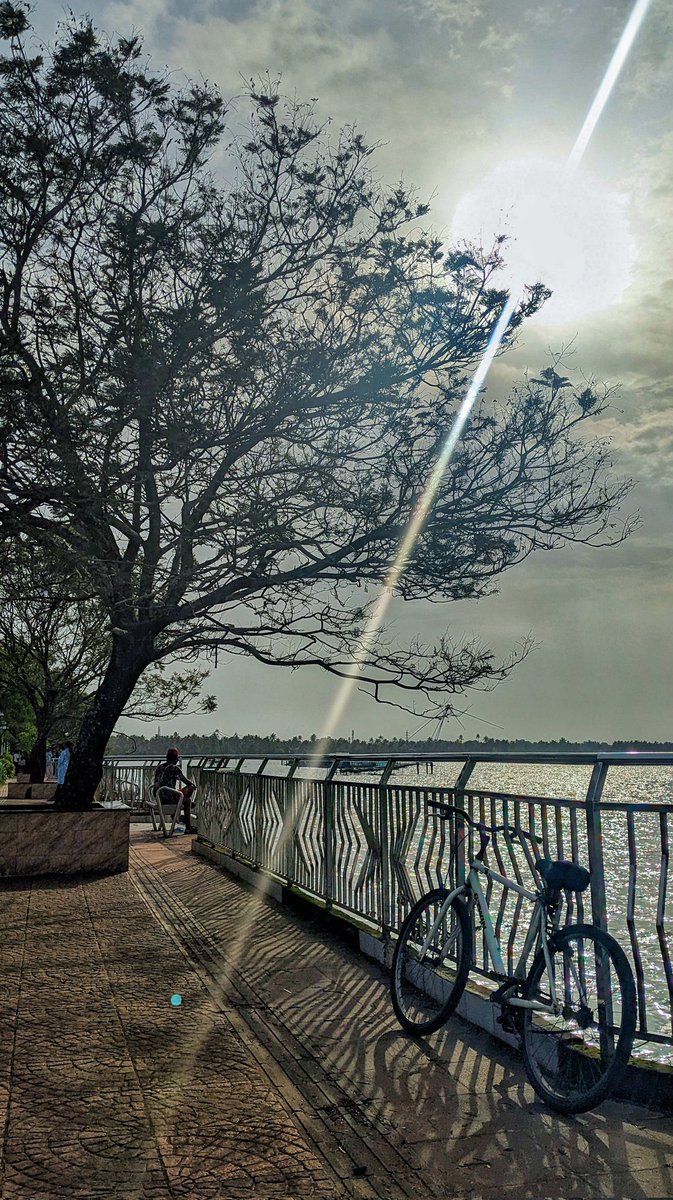 Imsandeep369's tweet photo. ✨

#evening #kochi #peace #vibe #Earth #mobilephotography #photography #cycling https://t.co/RtOI6BIuRH