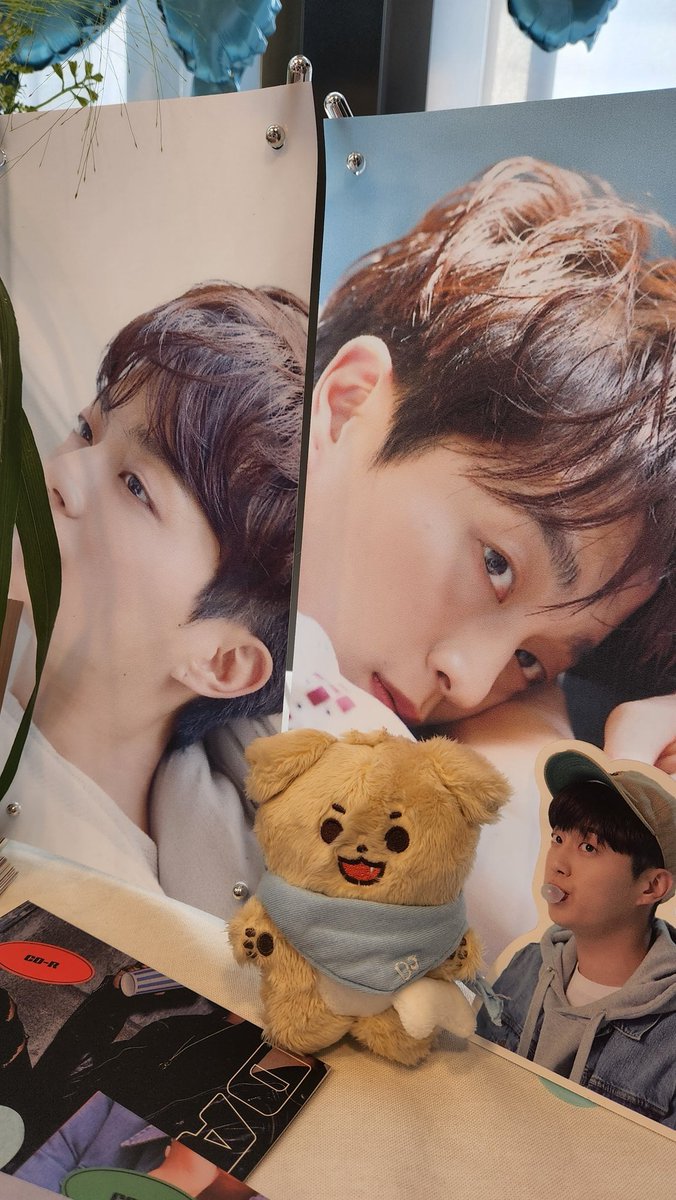 yodeulle's tweet photo. 𝐅𝐨𝐨𝐥 𝐨𝐟 𝐋𝐎𝐕𝐄, 𝐅𝐮𝐥𝐥 𝐨𝐟 𝐃𝐔𝐉𝐔𝐍☘️
꽃을 좋아해서 제일 기대했던 곳이었는데 사장님들 너어어무 친절하시고 보기좋다고 행복한하루되라고 해주셔서 마음이 몽글몽글했답니다 너무 예쁜특전까지 진짜 행복했어요😚
#꽃이피듯_넌_피어나 
#오늘_하룬_어땠어 https://t.co/RBdoDnwMui