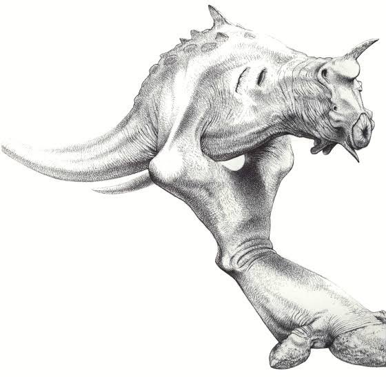 j_stocky's tweet photo. Fuck Zodiac signs, what are your top 4 Darwin 4 Aliens

Here’s mine:
1: Skewer
2: Belly Thrower
3: Rayback
4: Eosapien https://t.co/NPoRXrsGCG