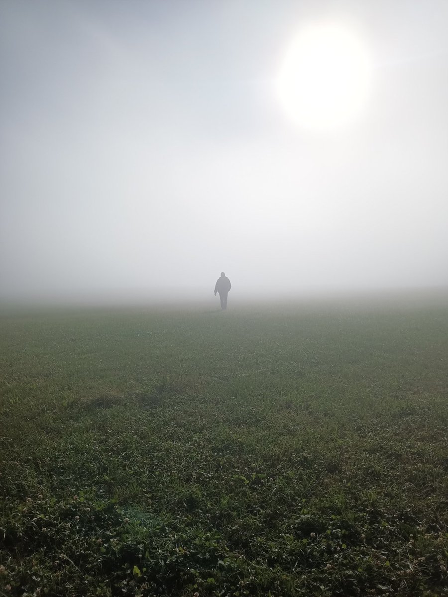 #foggy #adventure #nature #landscapelovers #misty