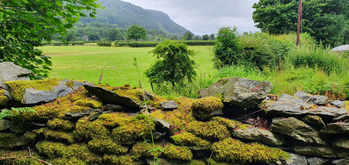 Fieldwork day 2, the focus is carbon capture and we are based on woodland near the ⁦<a href="/FSCRhydyCreuau/">FSC Rhyd-y-creuau</a>⁩ field centre near Betws-y-coed