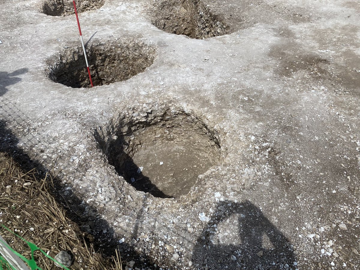 David Lee-Kong tweet media