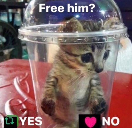 ⋅•⋅⊰∙∘☽༓Rain༓☾∘∙⊱⋅•⋅ tweet media